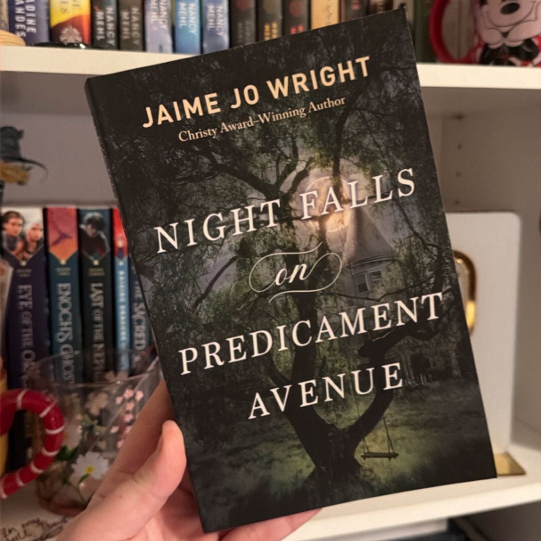 Night Falls on Predicament Avenue