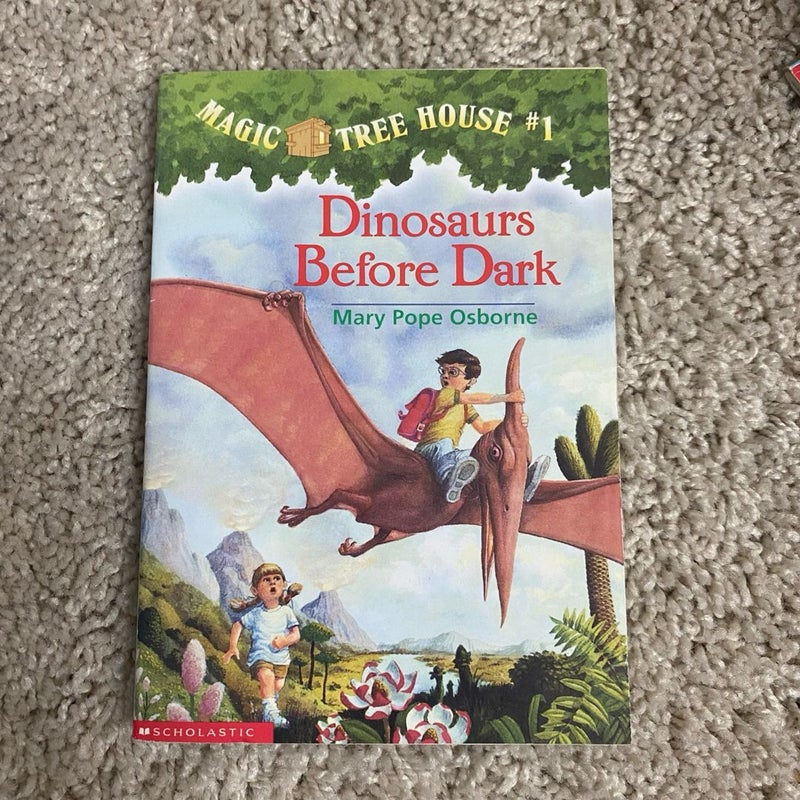 Magic treehouse Book Lot