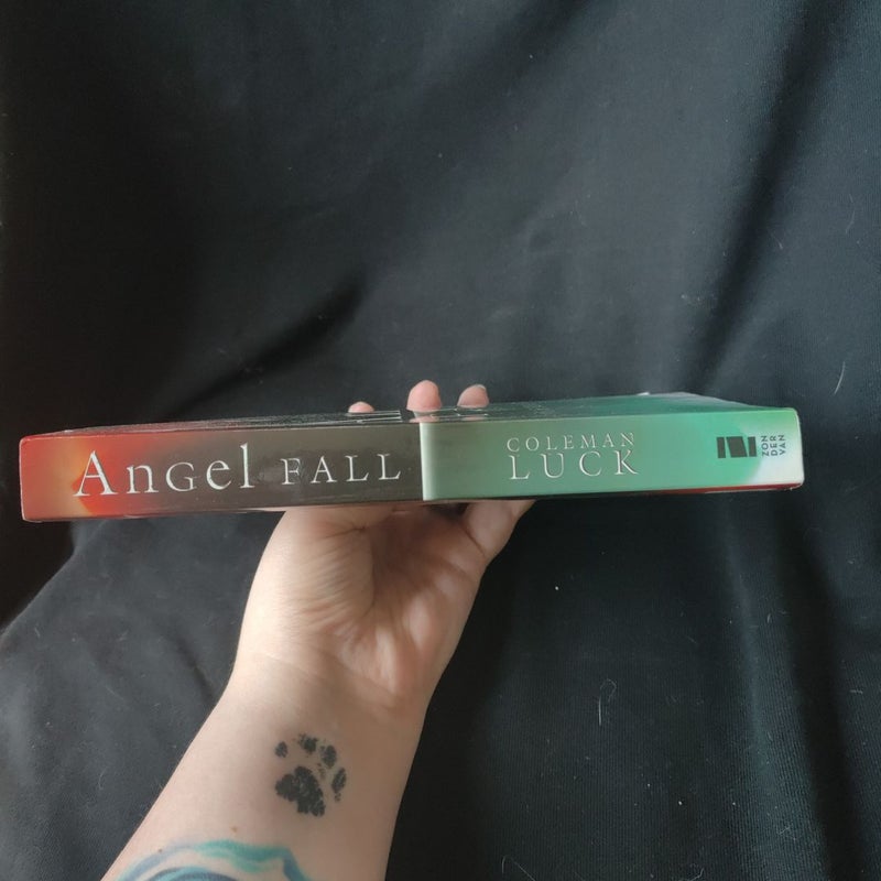 Angel Fall