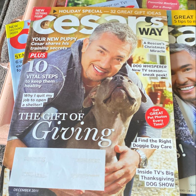 Cesar Millan Magazine Bundle