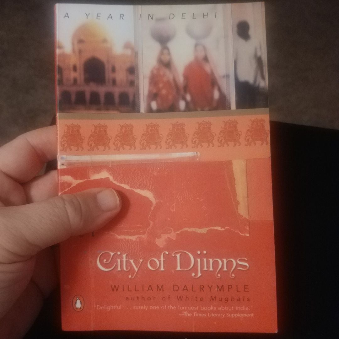 City of Djinns