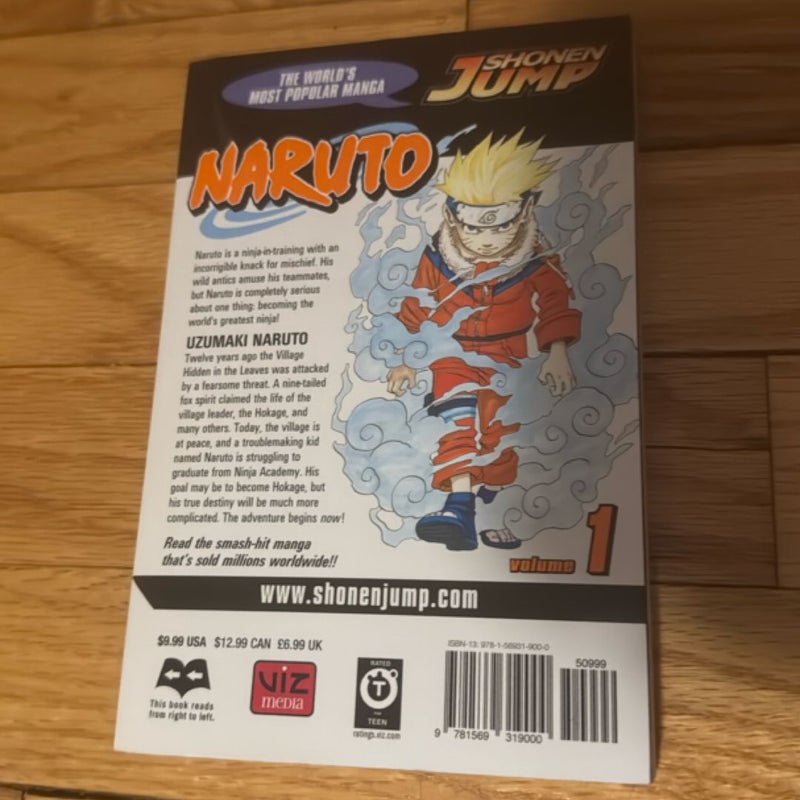 Naruto, Vol. 1