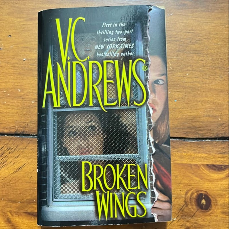 Broken Wings