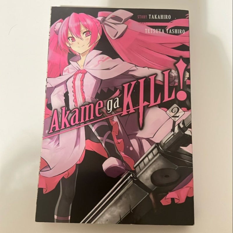 Akame Ga KILL! Volume 2