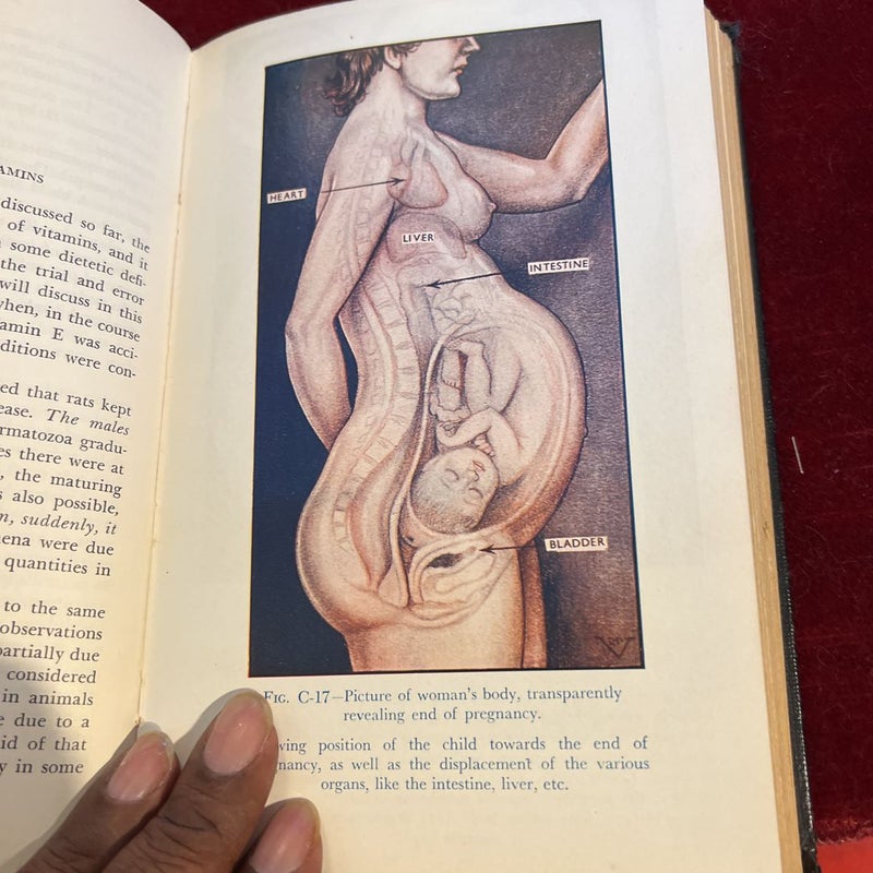The Illustrated Encyclopedia of Sex