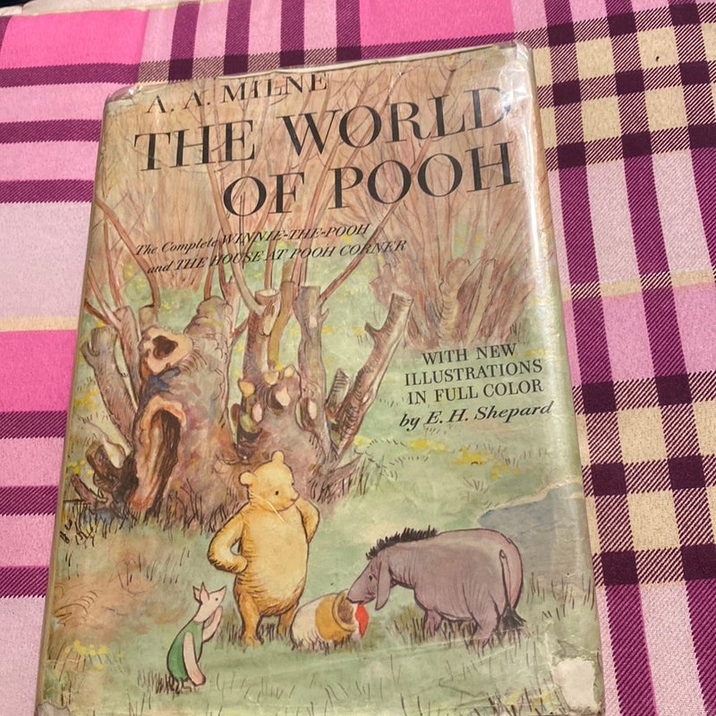 The World Of Pooh