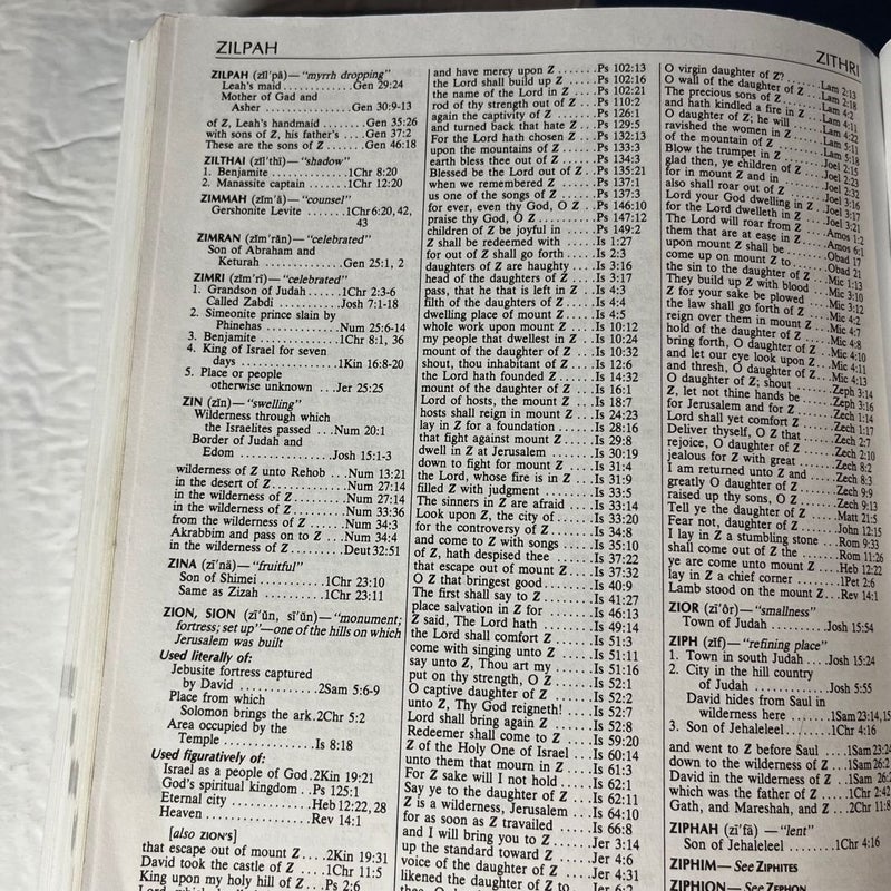 The Three-in-one Concise Bible Reference Companion Nelson's Concise Series