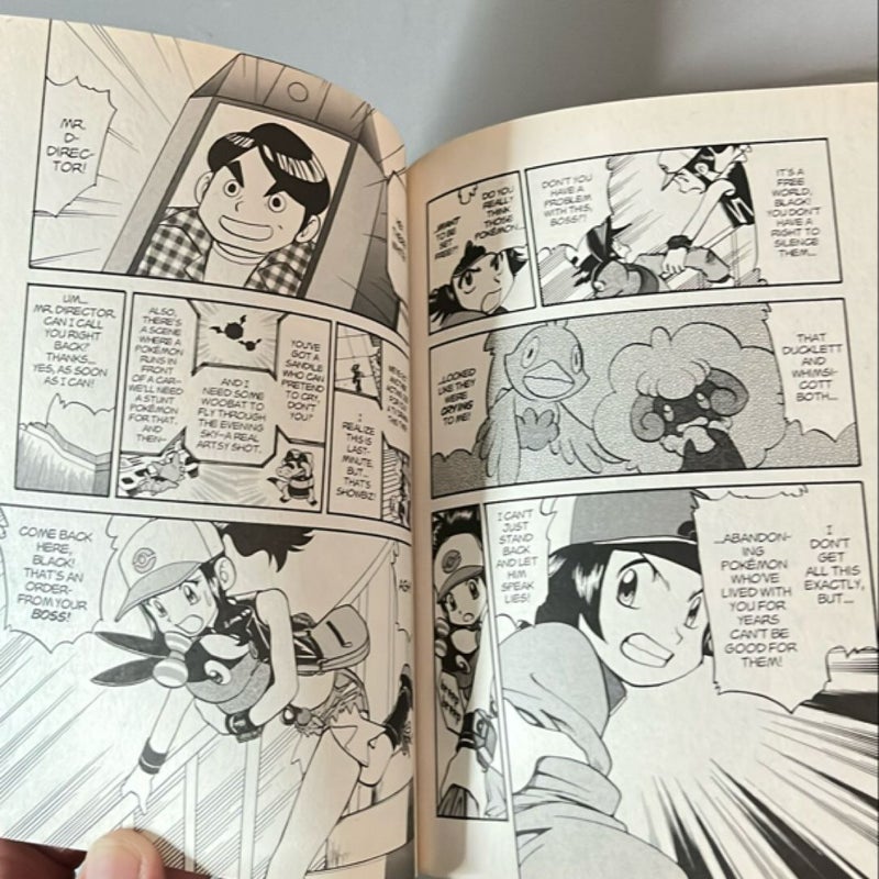 Pokémon Black and White, Vol. 2