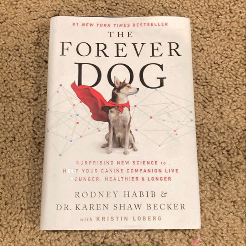 The Forever Dog