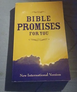 Bible promises 