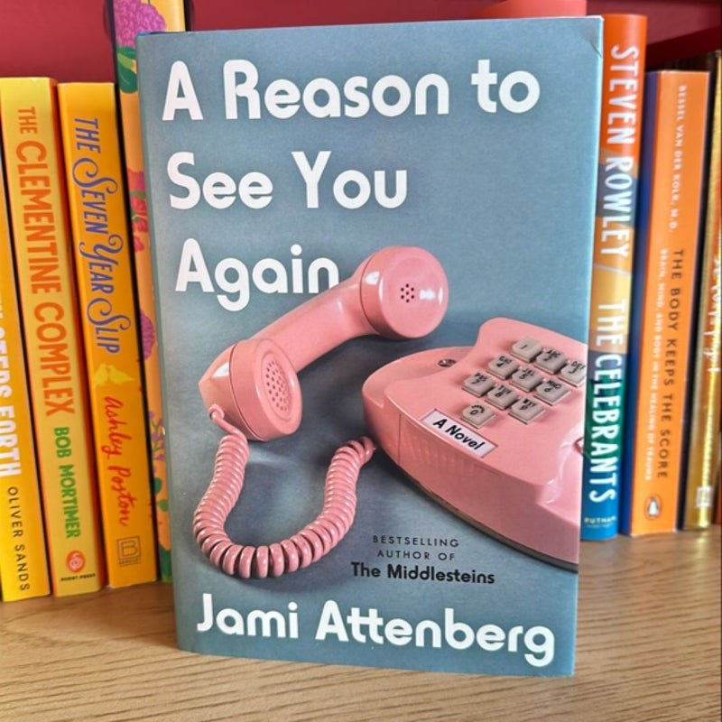 A Reason to See You Again