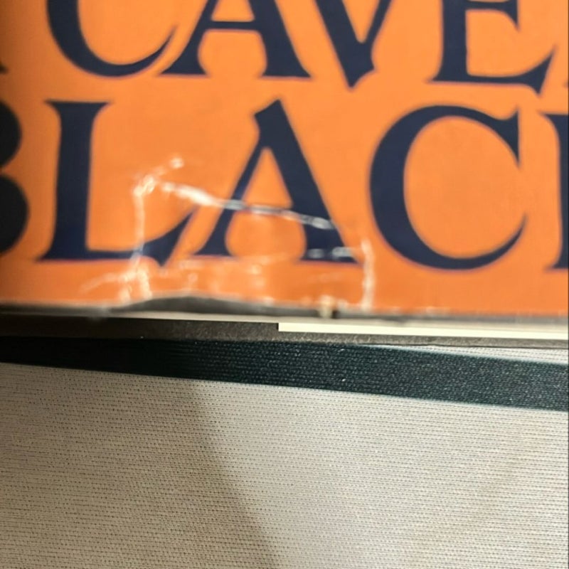 A Cavern of Black Ice