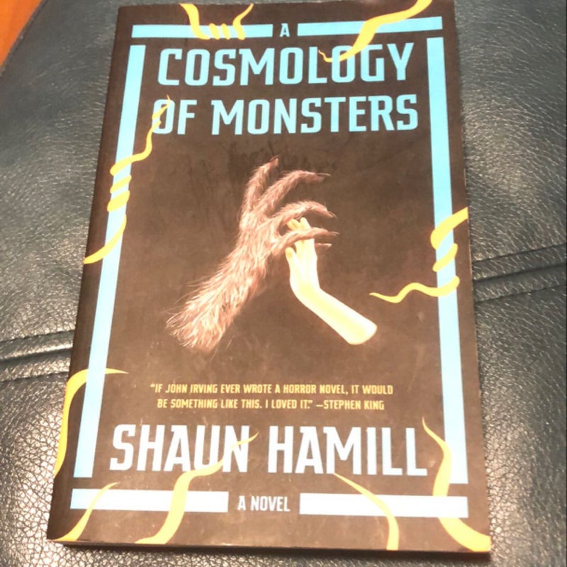 A Cosmology of Monsters