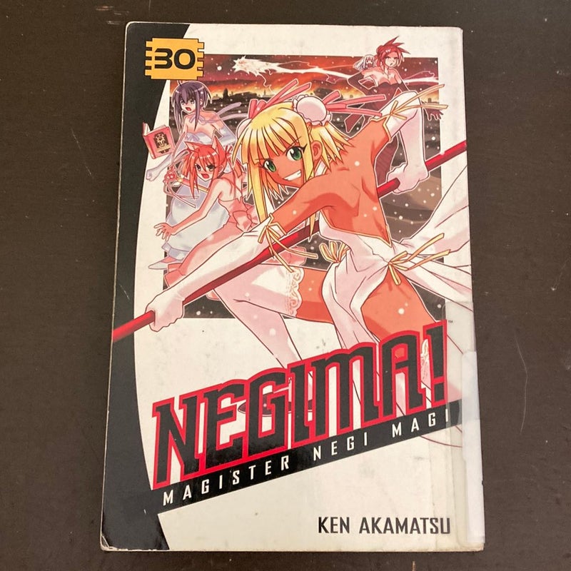 Negima! 30