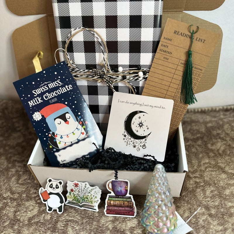 Winter *themed* Blind Date with a Book Box