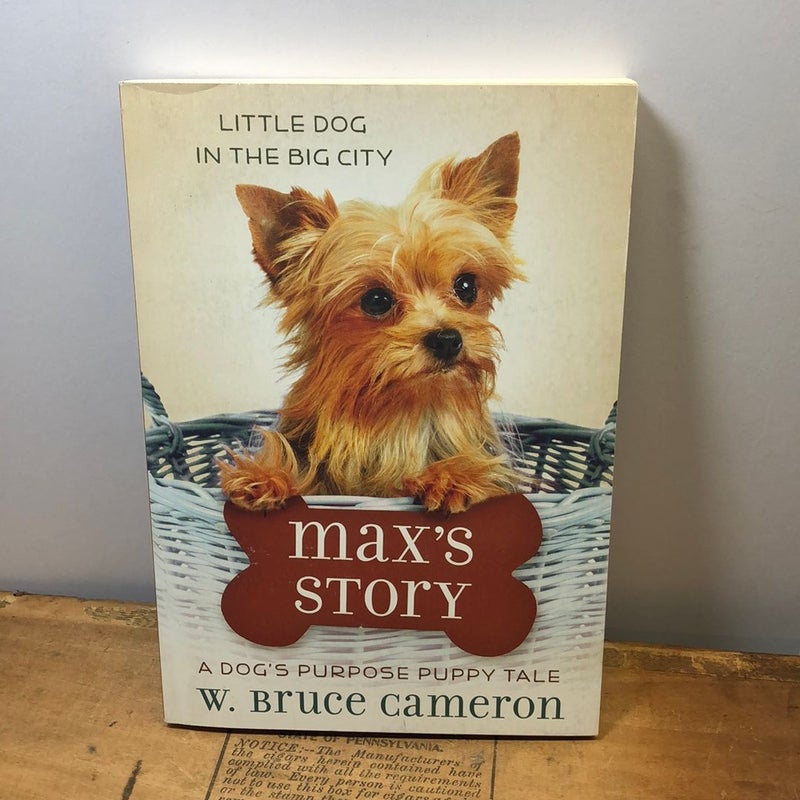 Max’s Story 