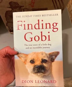 Finding Gobi (Main Edition)