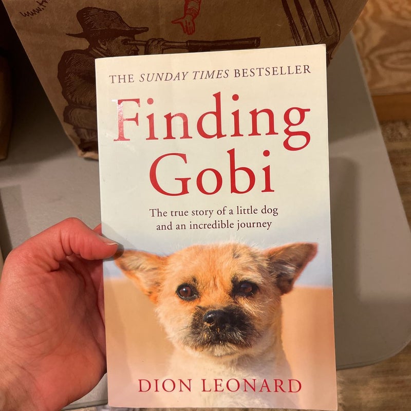 Finding Gobi (Main Edition)