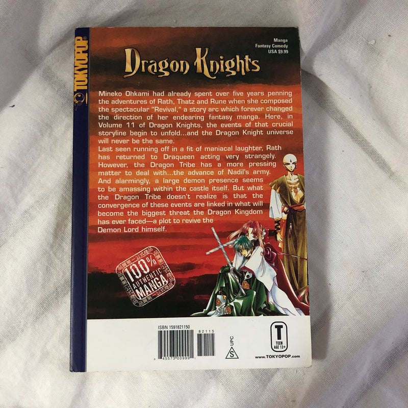 Dragon Knights by Mineko Ohkami, Paperback | Pangobooks