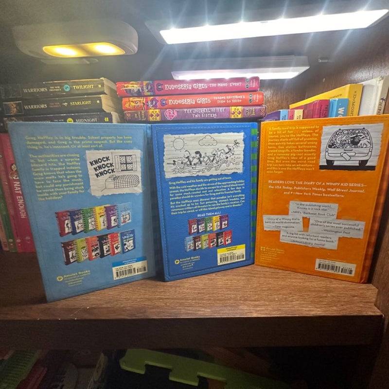 Diary of a wimpy kid 