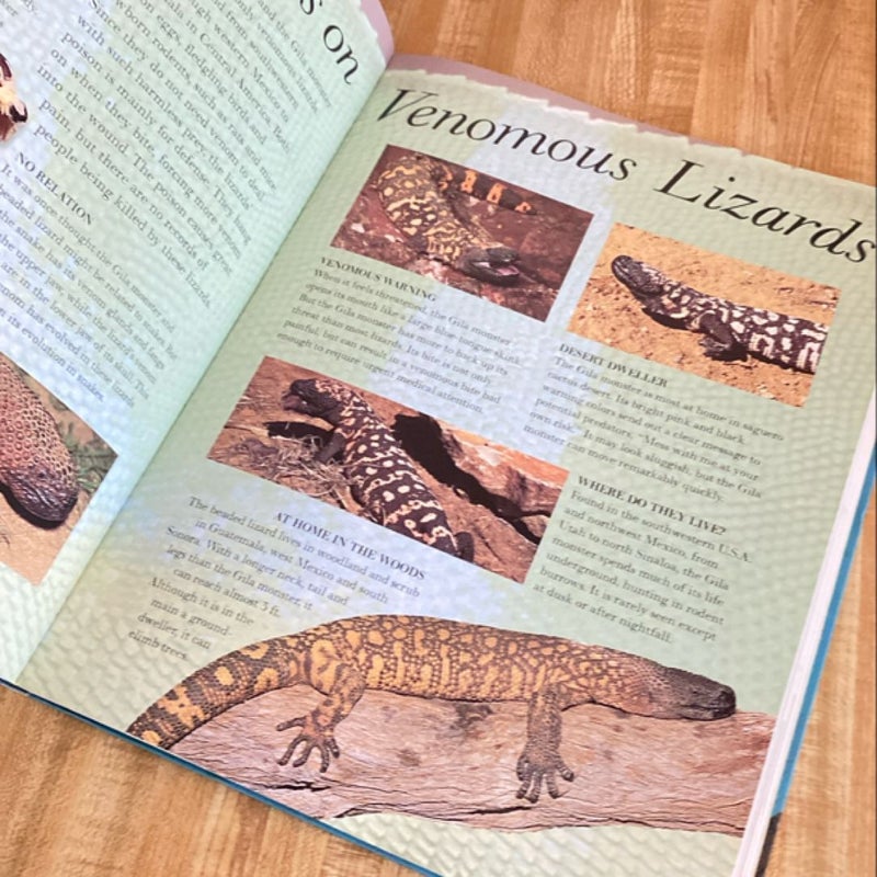 The Great Big Book of Snakes and Reptiles