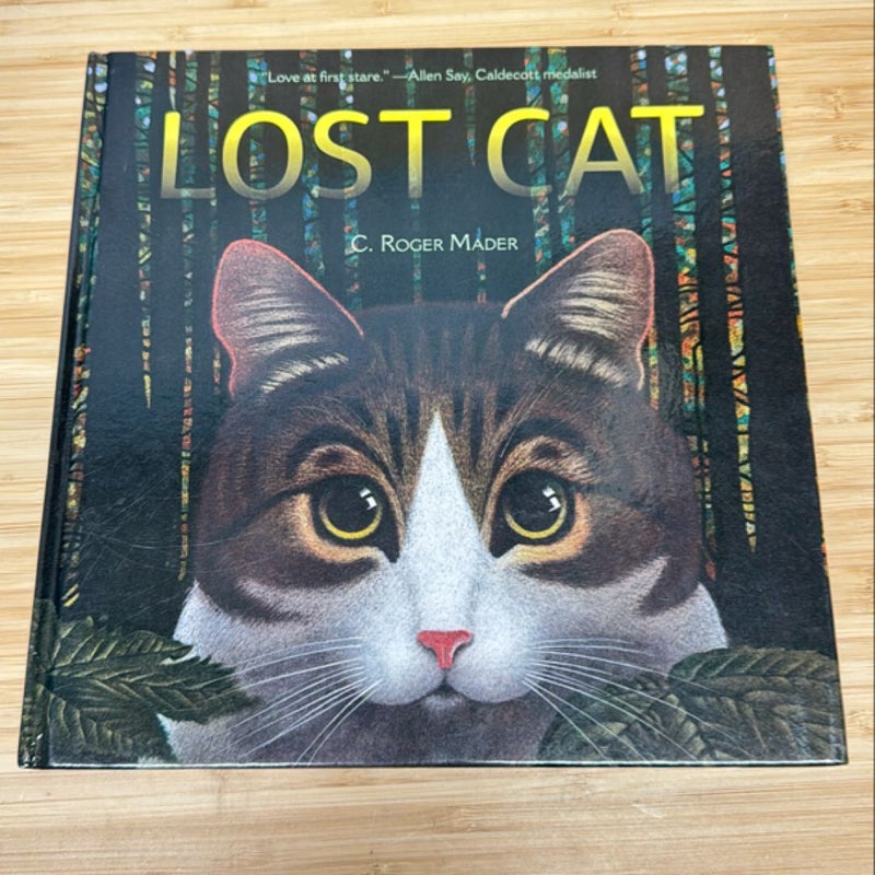 Lost Cat