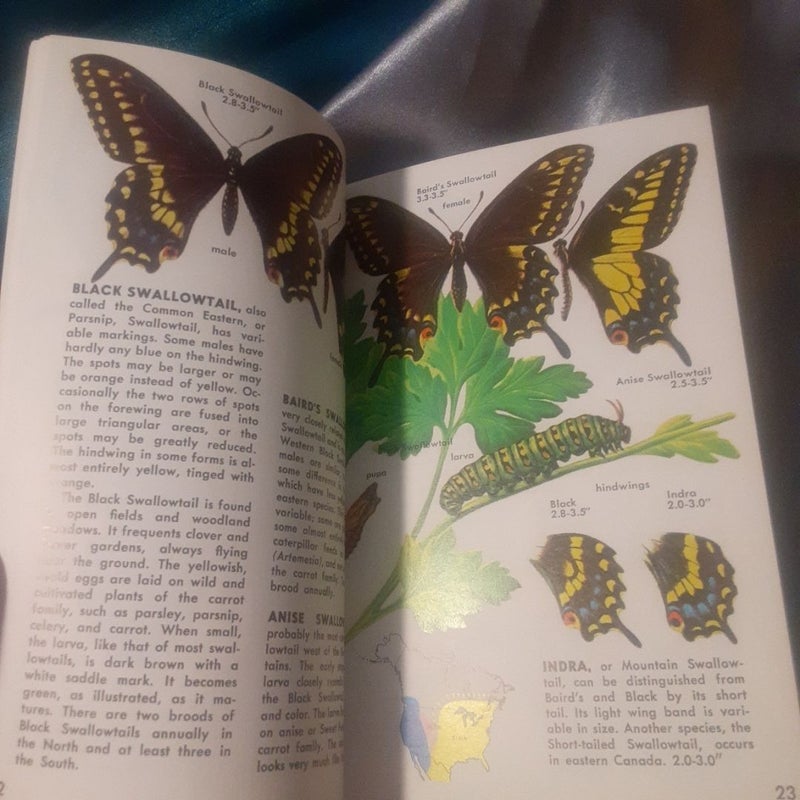 Butterflies and Moths , A Golden Guide