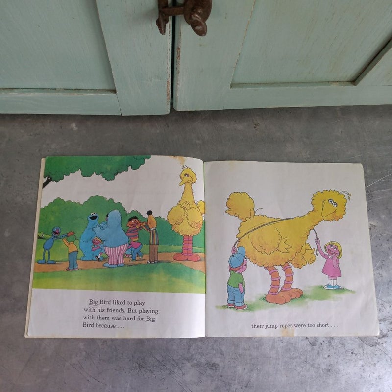 Don't Cry, Big Bird