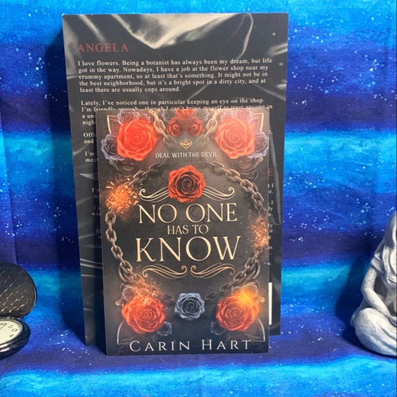 No one has to know- A Dark Romance- signed