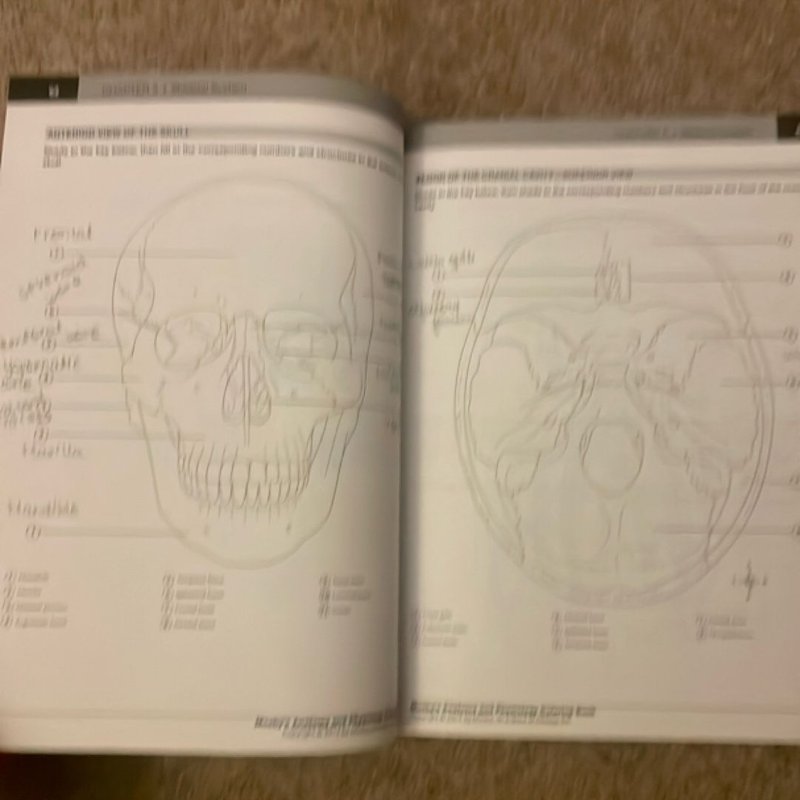Mosby's Anatomy and Physiology Coloring Book