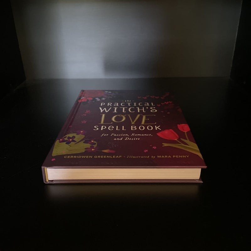 The Witches' Love Spell Book by Cerridwen Greenleaf