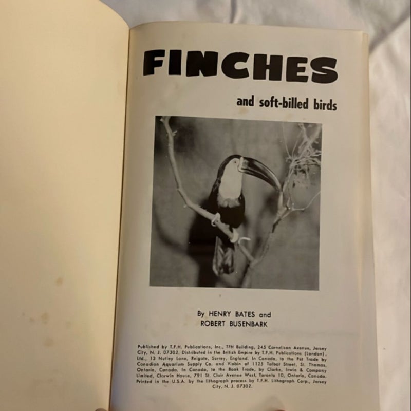 Finches and Soft-Billed Birds