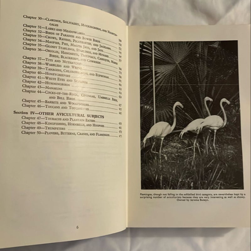 Finches and Soft-Billed Birds