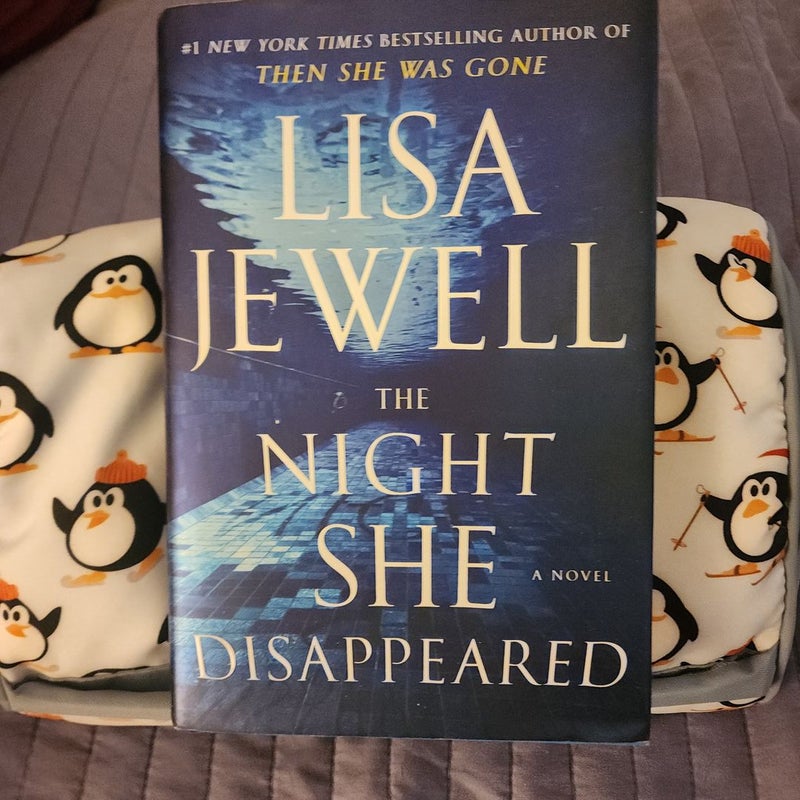 The Night She Disappeared