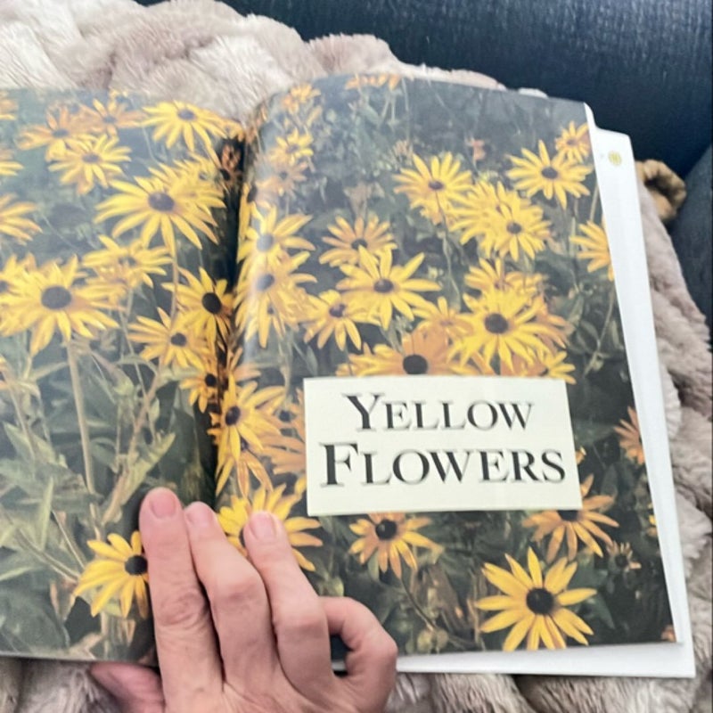 Encyclopedia of Flowers