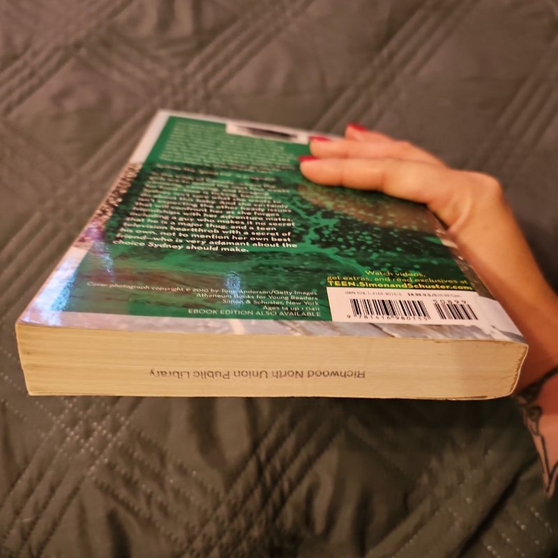 Every Little Thing in the World