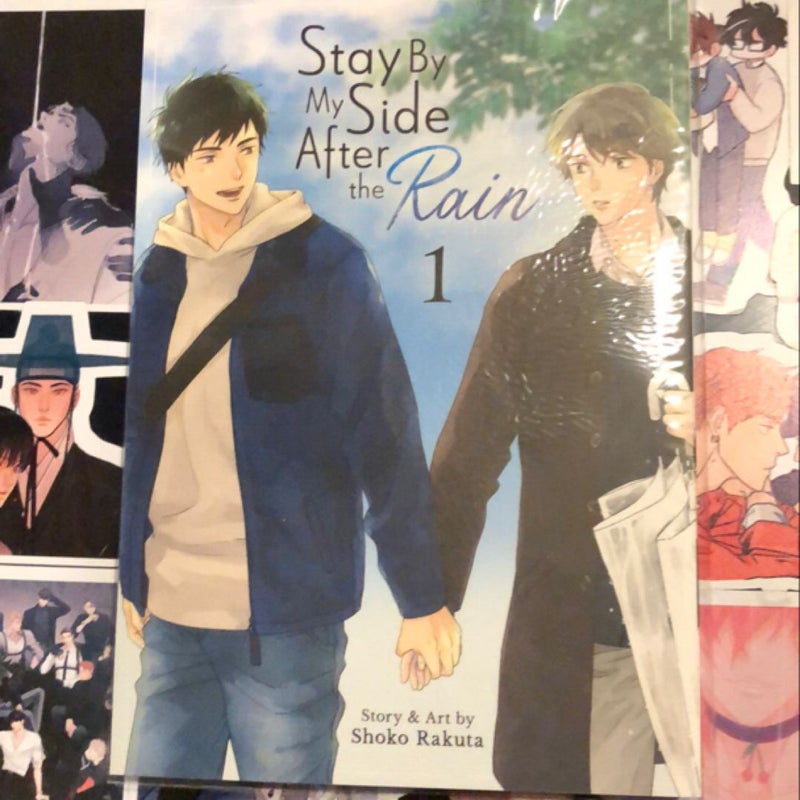 Stay by My Side after the Rain Vol. 1