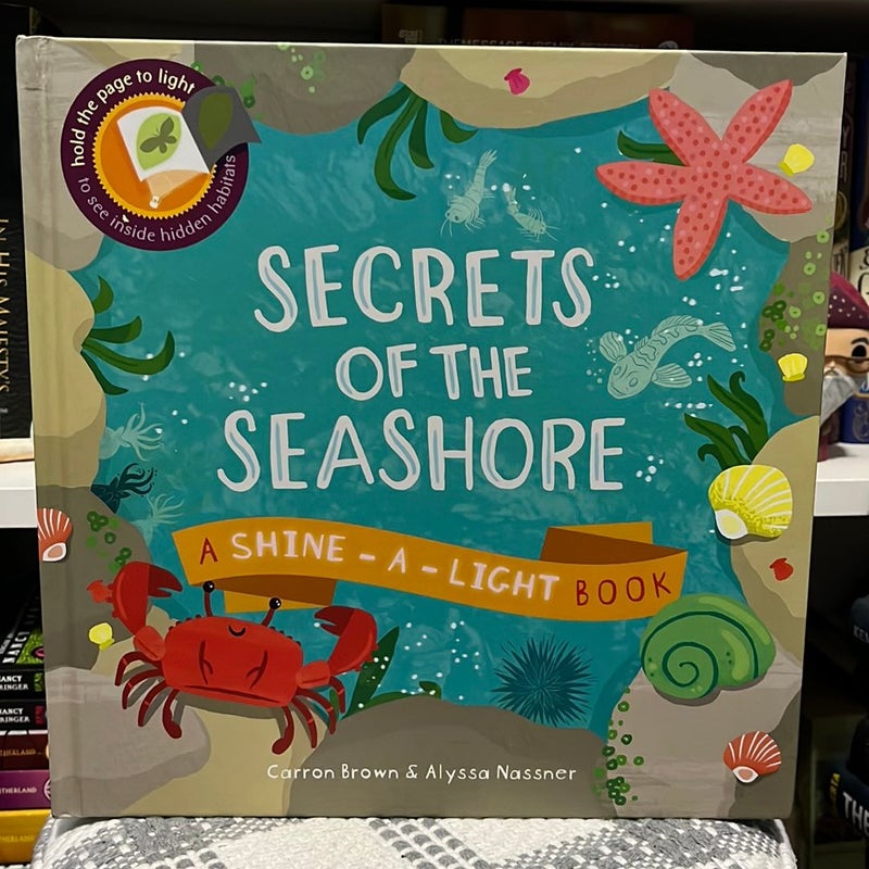 Secrets of the Seashore