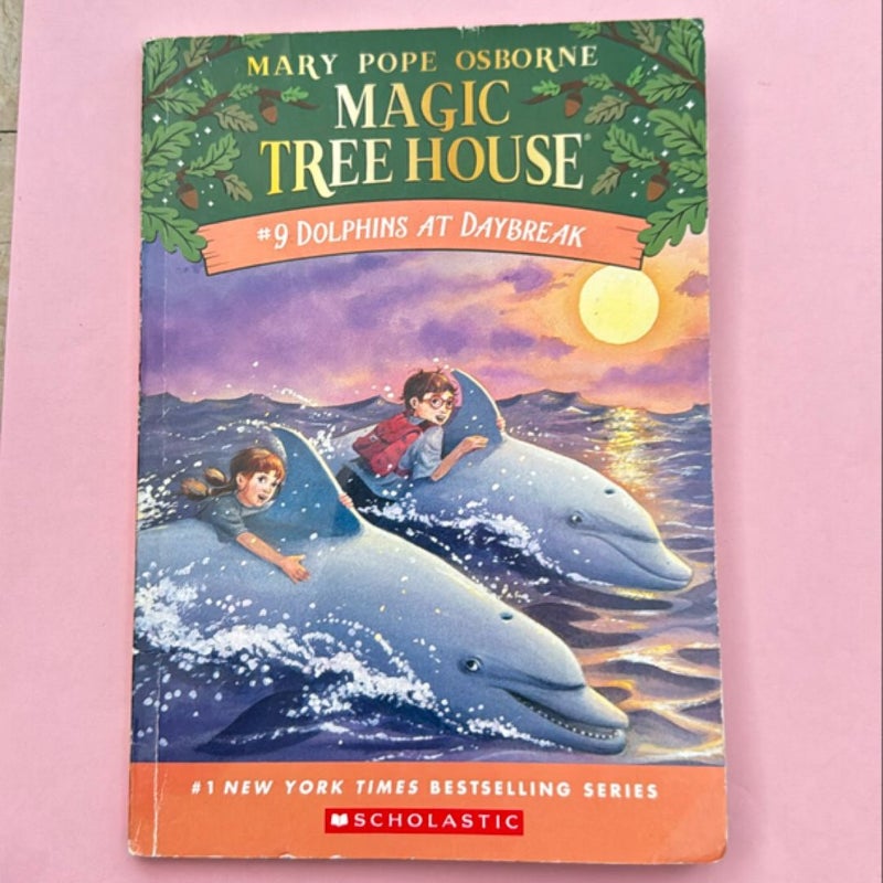 Magic treehouse dolphins at daybreak 