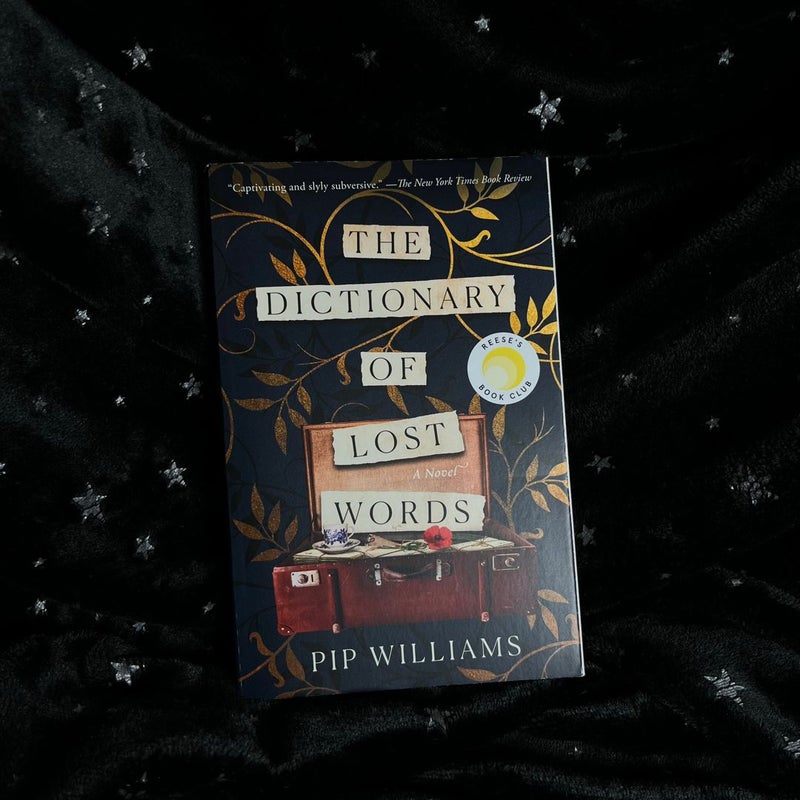 The Dictionary of Lost Words