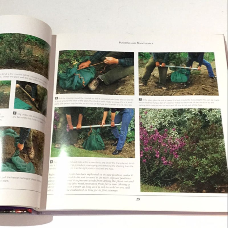 Shrubs and Climbers A complete guide to successful planting and growing 