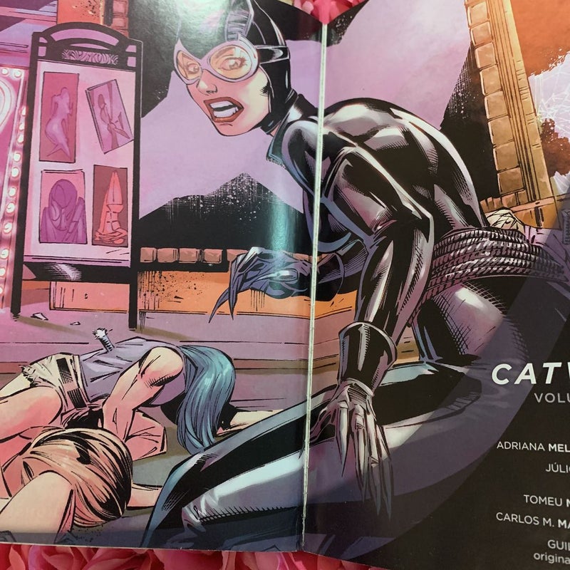 Catwoman Vol. 2: Dollhouse (the New 52)
