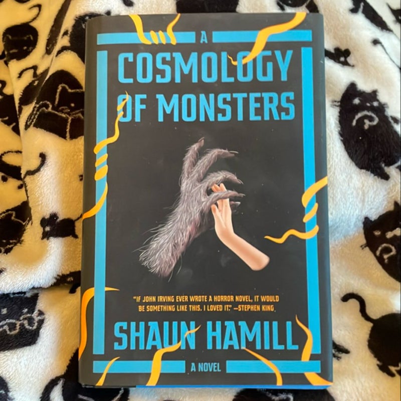 A Cosmology of Monsters