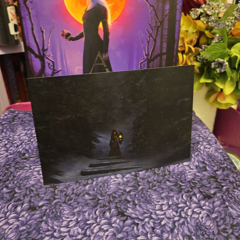 A Lust for Blood (Unplugged Book Box)
