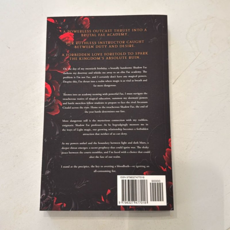 Crown of Light and Shadows