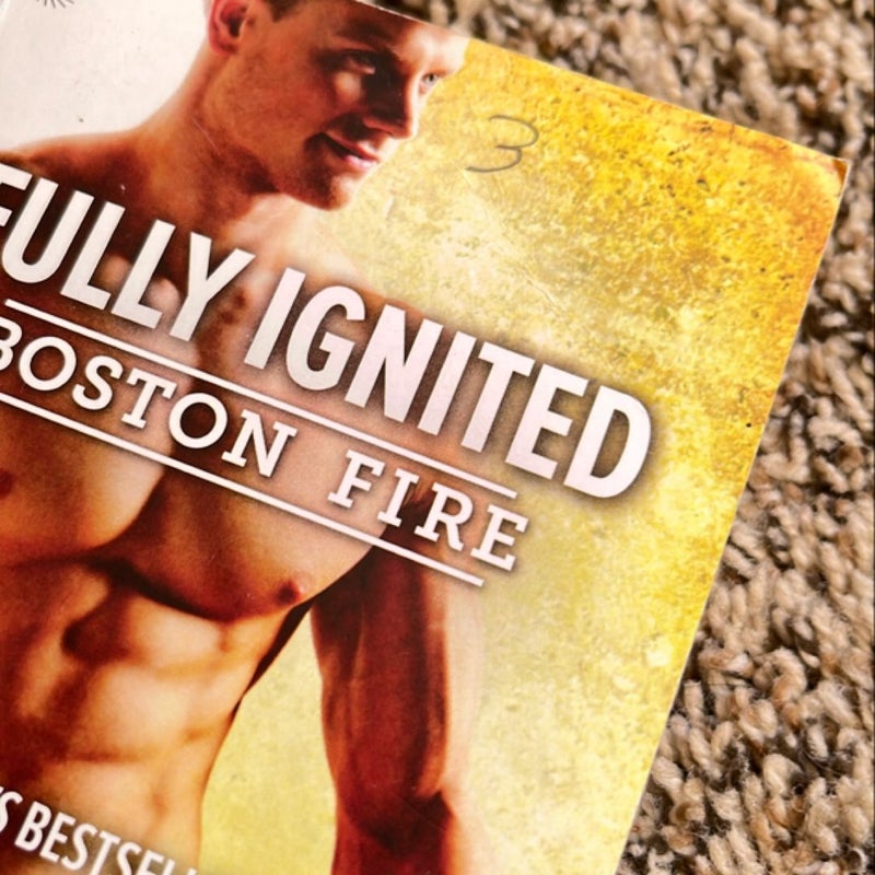 Flare Up complete Boston Fire 6 book series 