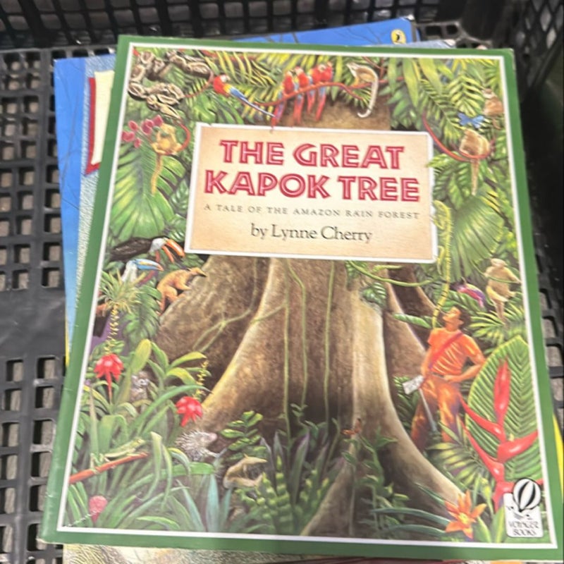 The Great Kapok Tree