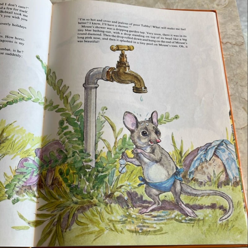 The Muddle-Headed Wombat and the Invention