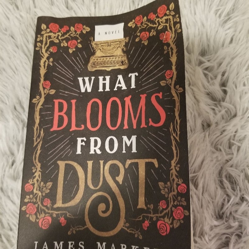 What Blooms from Dust