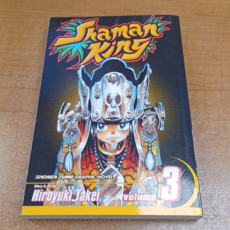 Shaman King, Vol. 3